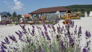 63735POKOPALIŠČE ŽIČE 2